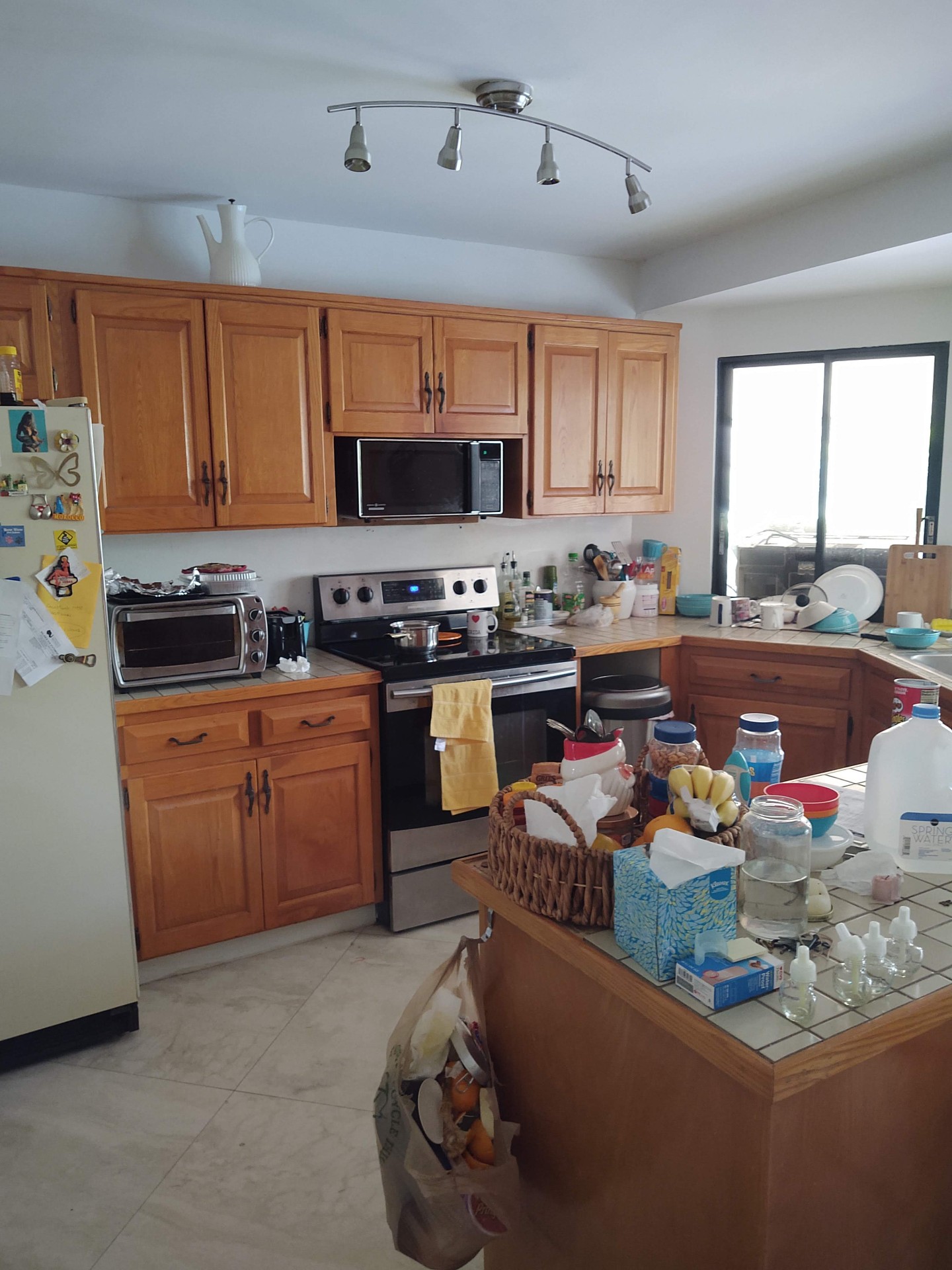 Hyde Park Tampa cabinet refinishing before — dated oak cabinets